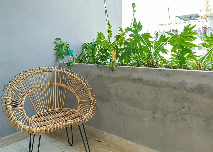 Appartement Magnificent In 5th Ave Playa del Carmen
